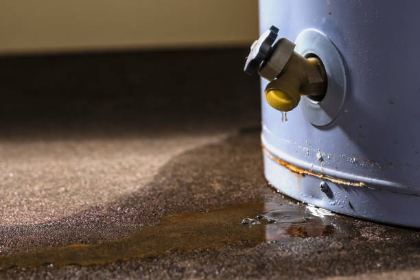Best Flooded house restoration  in Welby, CO