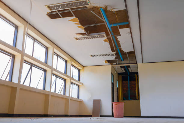 Best 24/7 water damage repair  in Welby, CO