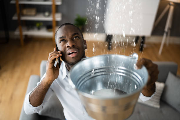 Best Flood damage cleanup  in Welby, CO