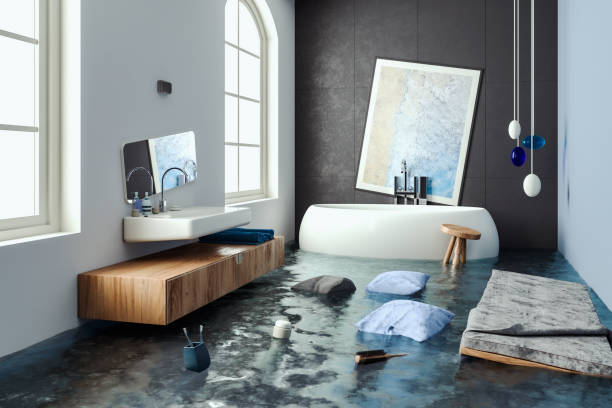 Best Mold removal after water damage  in Welby, CO