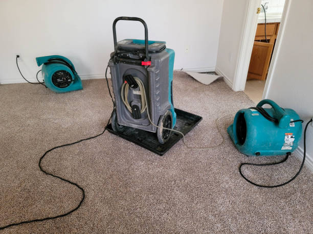 Local water damage restoration in Welby, CO