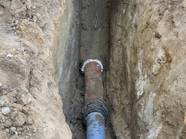 Best Sewage cleanup and water damage restoration  in Welby, CO