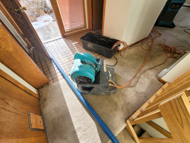 Carpet water damage restoration in Welby, CO