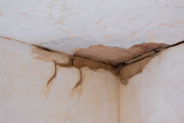 Carpet water damage restoration in Welby, CO