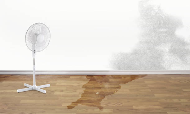 Best Commercial water damage restoration  in Welby, CO