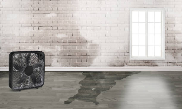 Welby, CO Water damage restoration Company