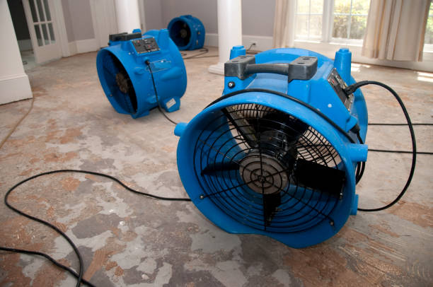 Best Carpet water damage restoration  in Welby, CO