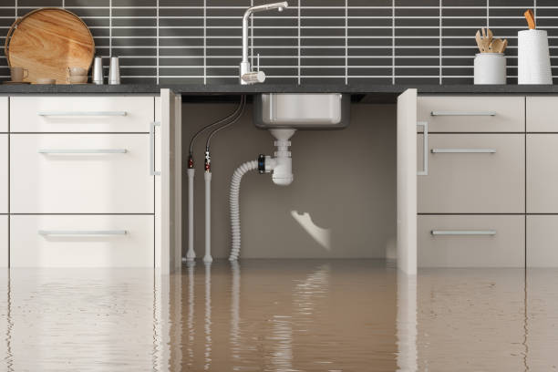 Best Basement water damage restoration  in Welby, CO